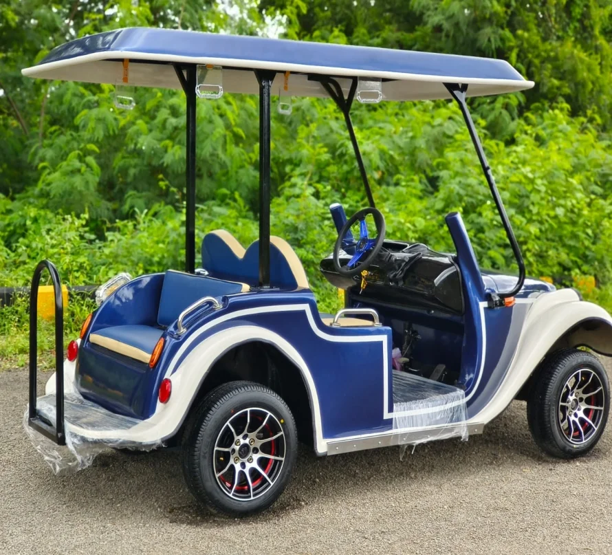 Cartenza Vintage Buggy 2S/4S