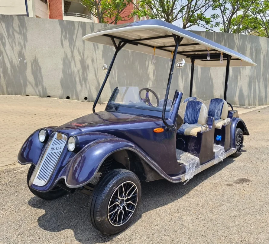 Cartenza Vintage Buggy 6S